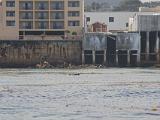 Monterey Bay 011